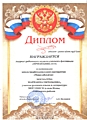 Диплом "Признание- 2019"